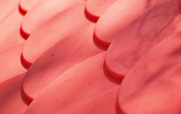 Cushuish plastic roof costs